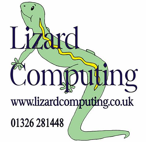 lizard computing