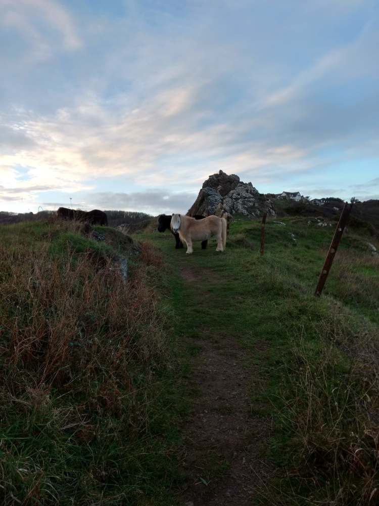 49384493_351771325554748_4433218148614799360_n