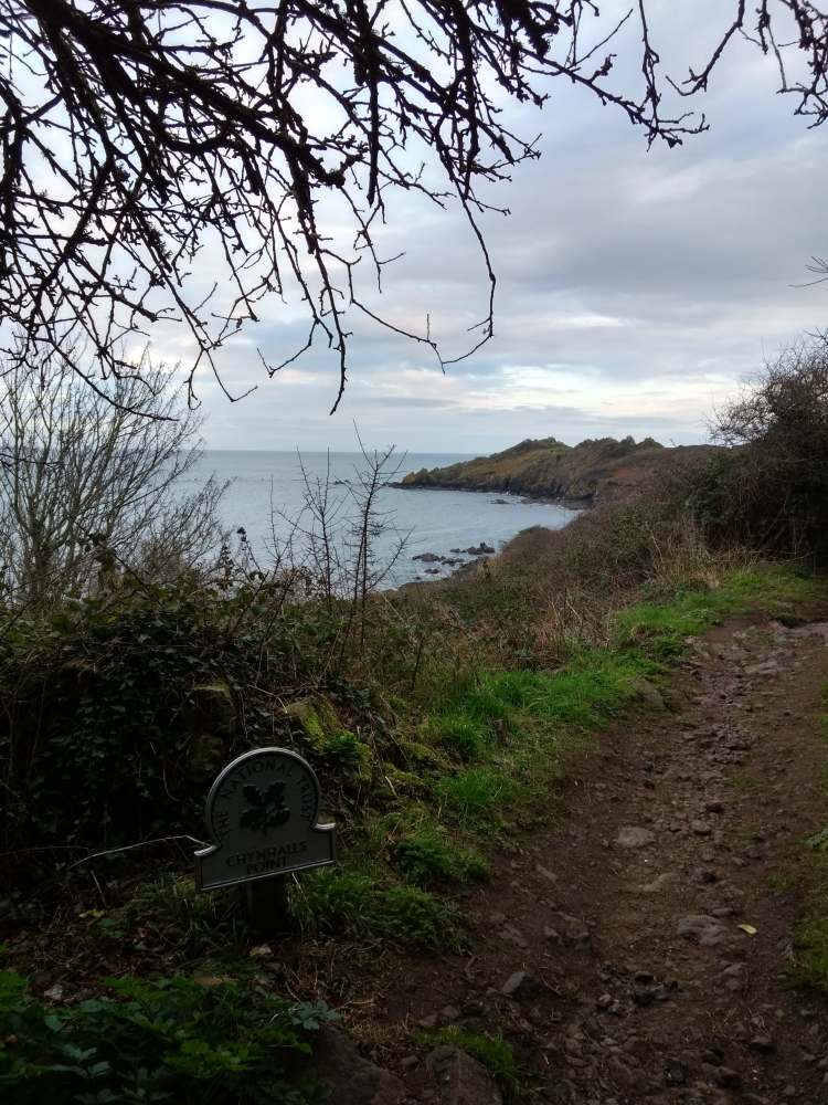 49393566_786676305014087_4617992636735684608_n (2)