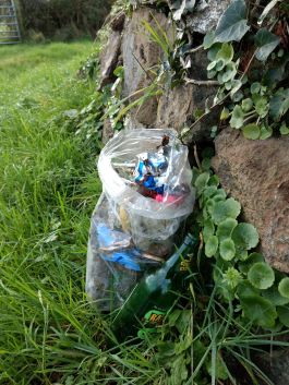 IMG_20190115_102909892