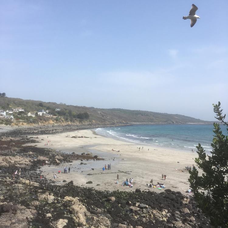 57387378_343789316272770_2804835904550600704_n