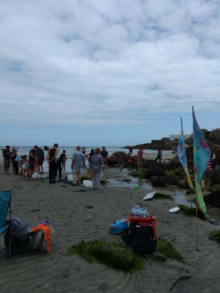 67568725_400386084169625_6877225071715287040_n