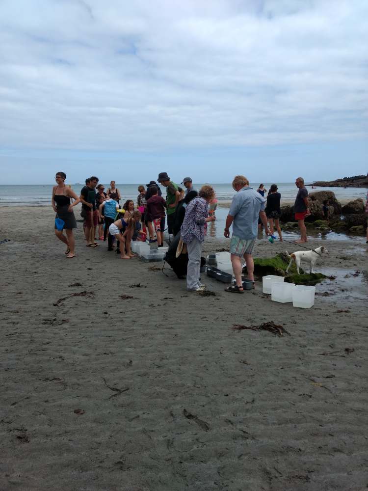 67577218_377740566227943_4396855684176543744_n