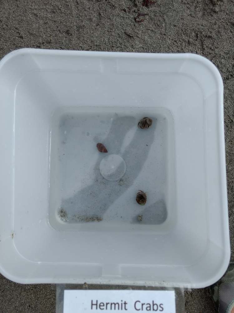 67780566_359744748052889_1875032835664904192_n