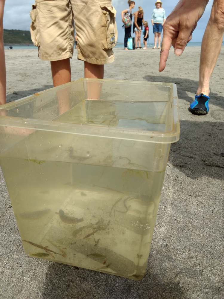 67836091_375990319982393_6678456364668289024_n