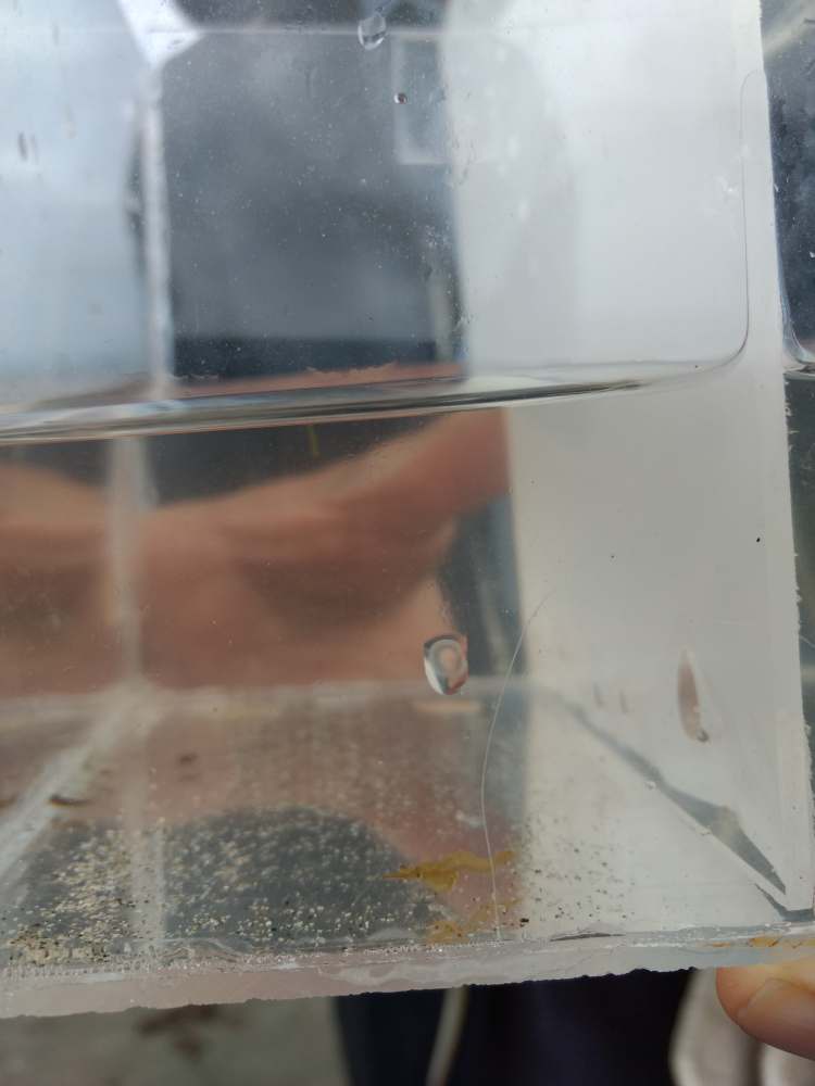 68542908_694025357725940_6934342295596564480_n