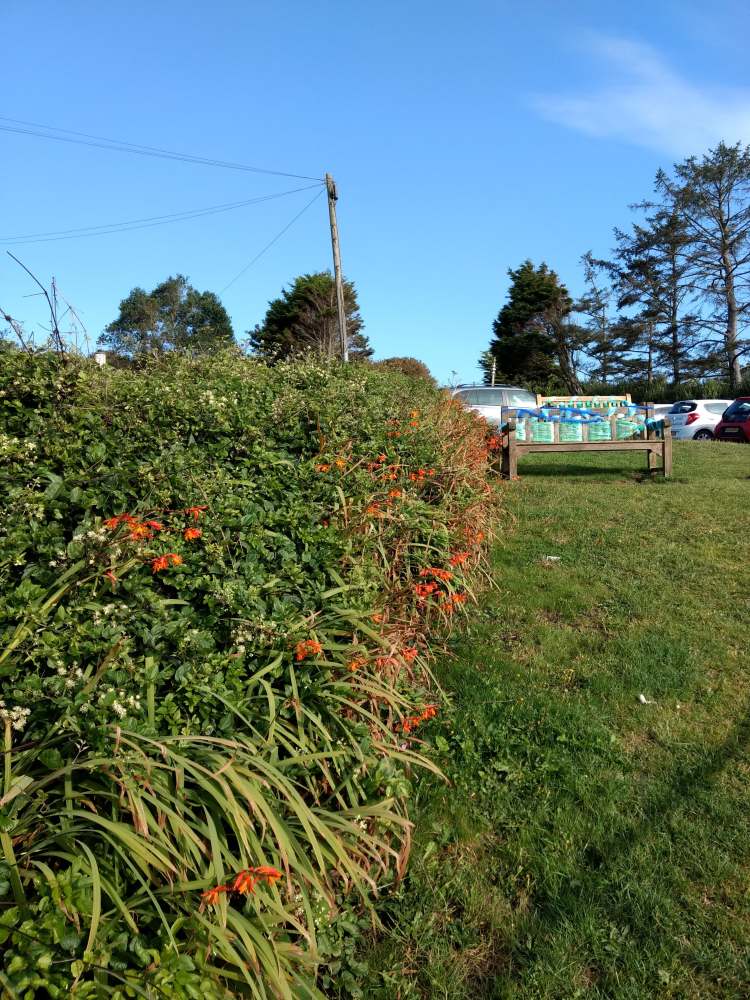 69074446_1137939716403672_3045527009984774144_n