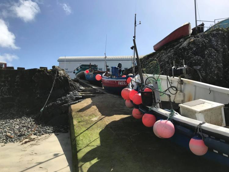 91959574_862574130892648_7291220903566770176_n