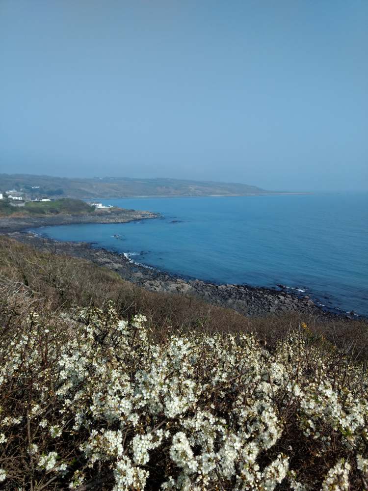 92374565_1587469084750176_5538611175756922880_n